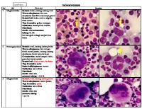 Identifikasi TROMBOPOIESIS [PDF]