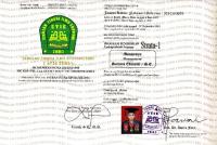 Ijazah