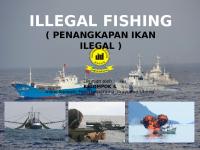 Ilegal Fishing Edit