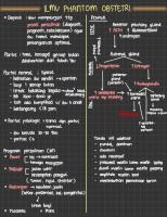 Ilmu Phantom Obstetri