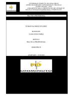 Informe Final Practicas Uniminuto [PDF]