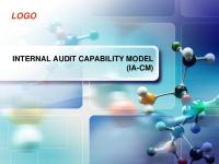 Internal Audit Capability Model