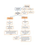 IUGR Ok [PDF]