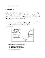 Jarum Bedah Dan Benang Bedah