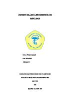 JURNAL PRAKTIKUM MIKROBIOLOGI INOKULASI Fitriani - 20219107 [PDF]