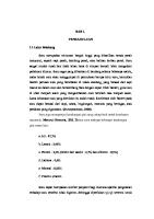 Jurnal Susu Dan Telur [PDF]