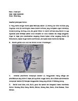 Juwairiyah 06091382025051 Tugas Zooinvert Mollusca [PDF]