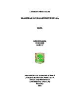 Klasifikasi Dan Karakteristik Gulma [PDF]