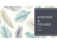 Koenzim Dan Vitamin