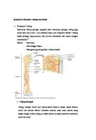 Komponen Penyusun Tulang Dan Sendi [PDF]