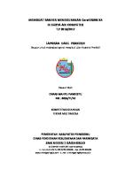 Laporan Dimas [PDF]