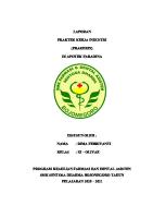 Laporan Faradina Bojonegoro [PDF]