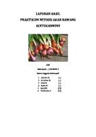 Laporan Hasil Praktikum Mitosis Akar Bawang Acetocarmine [PDF]