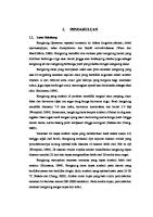 Laporan Kangkung [PDF]