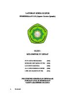 Laporan Lcs [PDF]