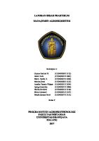 Laporan Maes Kelompok 4 [PDF]