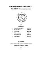 Laporan Maserasi [PDF]