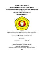 Laporan Pendahuluan CKD [PDF]