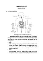 Laporan Pendahuluan Demam Thypoid