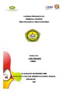 Laporan Pendahuluan Personal Hygiene, KDP [PDF]