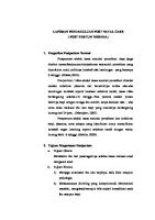 Laporan Pendahuluan Post Natal Care [PDF]