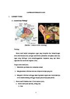 Laporan Pendahuluan Vertigo [PDF]