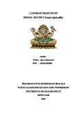 Laporan Praktikum Bedah Kelinci (DOICE Nona) [PDF]