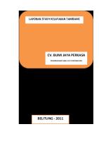 Laporan Study Kelayakan Tambang [PDF]