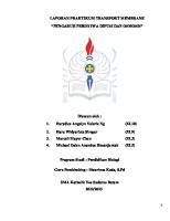 Laporan Transport Membrane