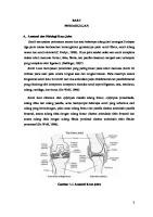 Lapsus OA Knee Bilateral