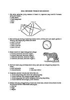 Lat Soal Osn Ipa SD