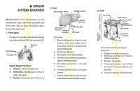 Latihan Soal Sistem Ekskresi Pada Manusia