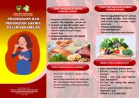 Leaflet Anemia A4 75 Lembar [PDF]