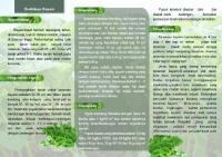 Leaflet Budidaya Bayam [PDF]