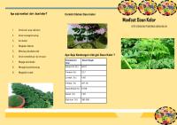 Leaflet Daun Kelor Rany [PDF]