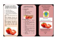 LEAFLET Jus Tomat [PDF]