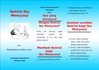 Leaflet Nutrisi Ibu Menyusui [PDF]