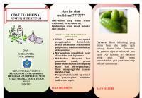 Leaflet Obat Herbal