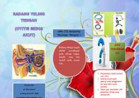 Leaflet Otitis Media Akut AHM