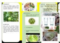 Leaflet Rebusan Daun Jambu Biji