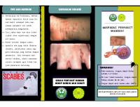 Leaflet Scabies