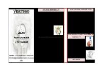 Leaflet Vertigo CIDERA