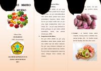 Leaflet Zat Gizi Makro Dan Mikro