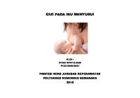 Lembar Balik Nutrisi Ibu Menyusui [PDF]