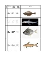 List Identifikasi Ikan Demersal