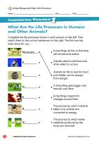 Living Things and Their Life Processes Worksheet