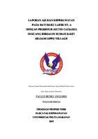 LK BBL Paul [PDF]