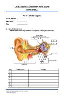 LKPD Indra Pendengaran