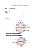 LKPD Virus [PDF]