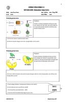 LKS 2.1-2.3 Metabolisme (Lanjutan) [PDF]